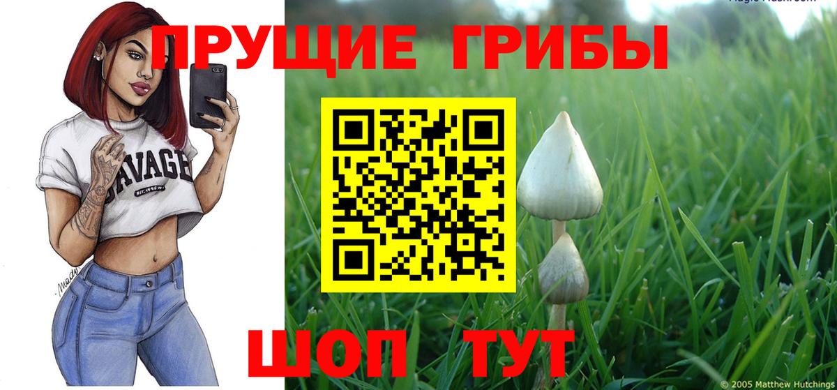 Нижний Тагил  NBOMe  COCAIN  Вход с VPN  MDMA  МЕФ кристаллы  Канабис  ГАШИШ 