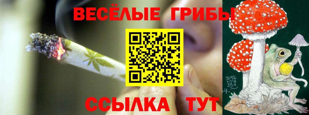 Галлюциногенные грибы Magic Shrooms  купить наркотик  Нижний Тагил  Вход с VPN 