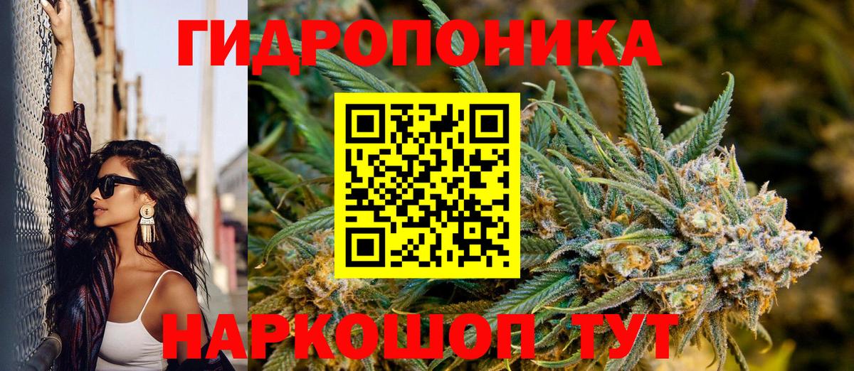 Нижний Тагил  Канабис сатива  Вход с VPN  Конопля конопля  МАРИХУАНА Amnesia 